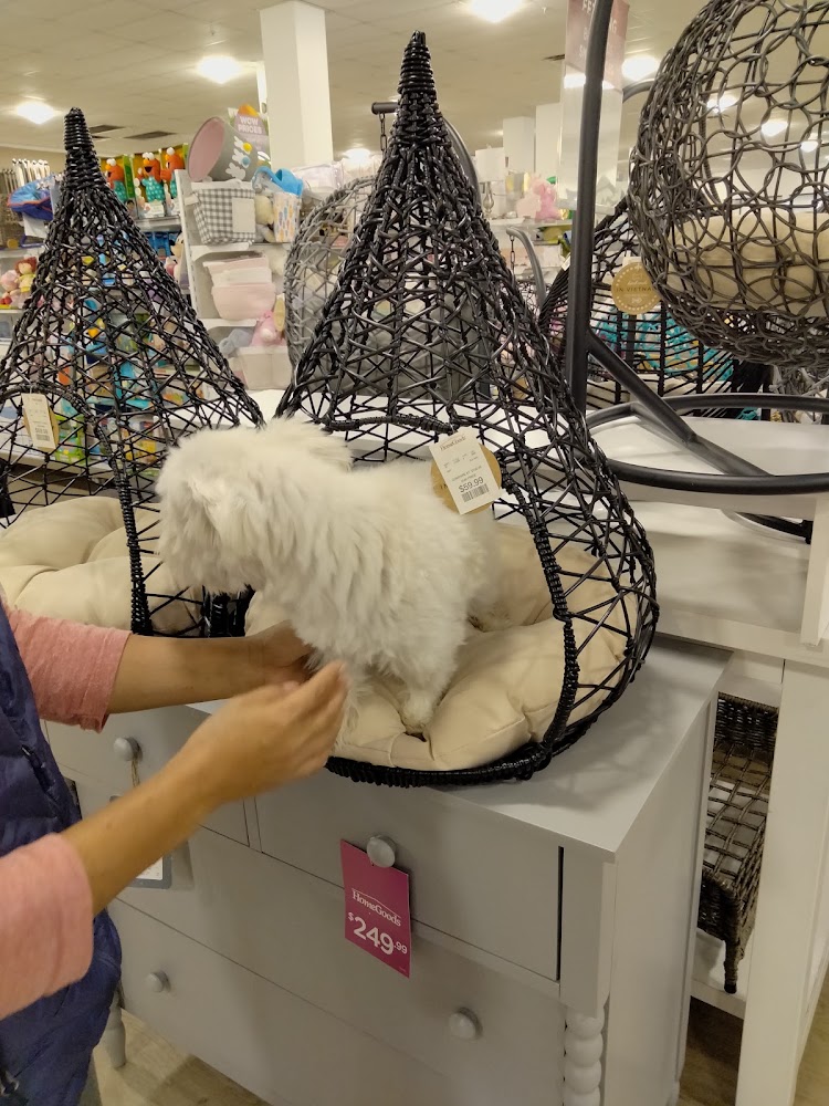 HomeGoods photo 4