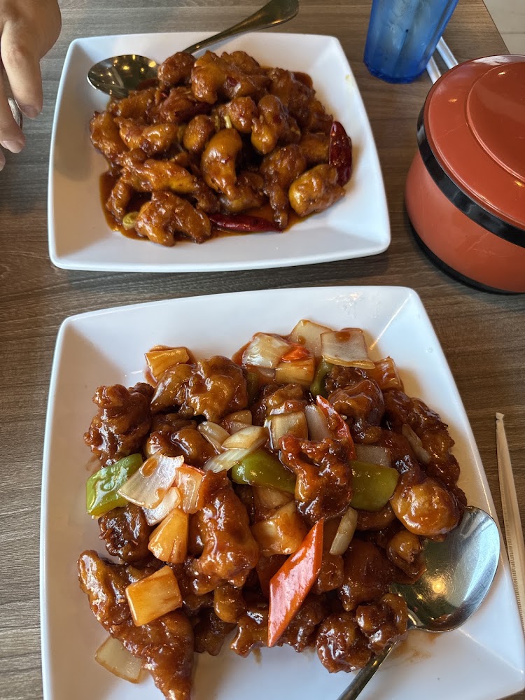 Gourmet Palace China Bistro Woodland Hills photo 3