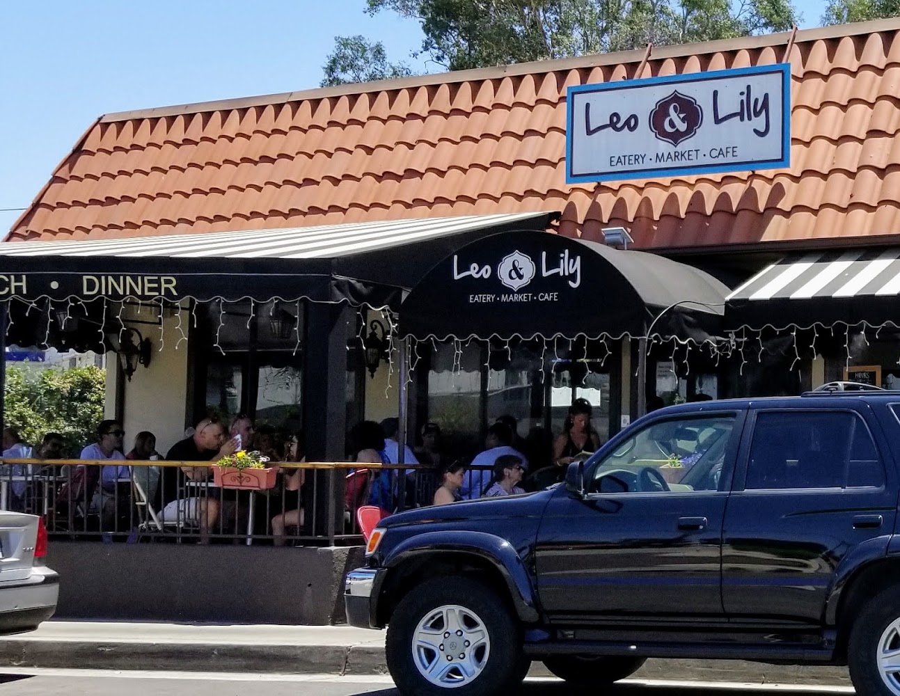 Leo & Lily in Woodland Hills, California